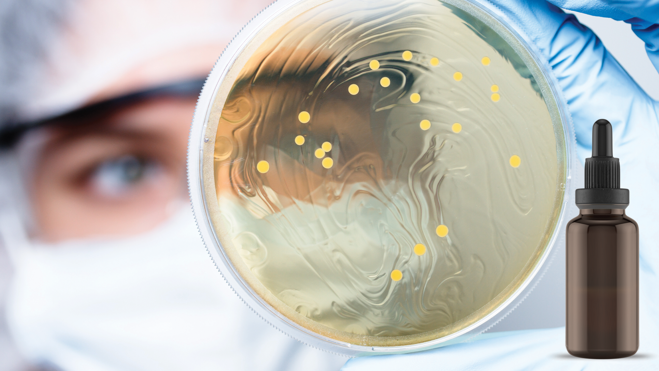 Antimicrobial Effect of Commercial Propolis Extract (BEEO©)