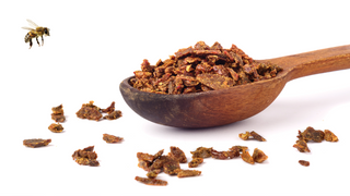 Evaluation of Turkish propolis for its chemical composition, antioxidant capacity, anti-proliferative effect on several human breast cancer cell lines and proliferative effect on fibroblasts and mouse mesenchymal stem cell line