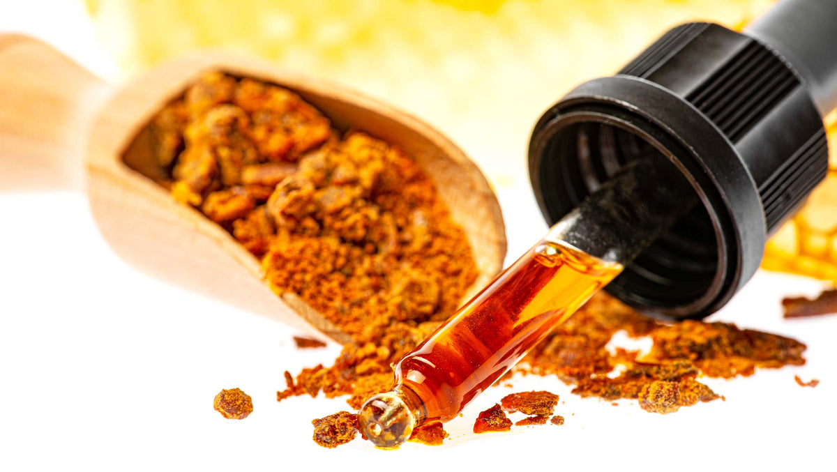 Propolis Def How to Identify Real Propolis