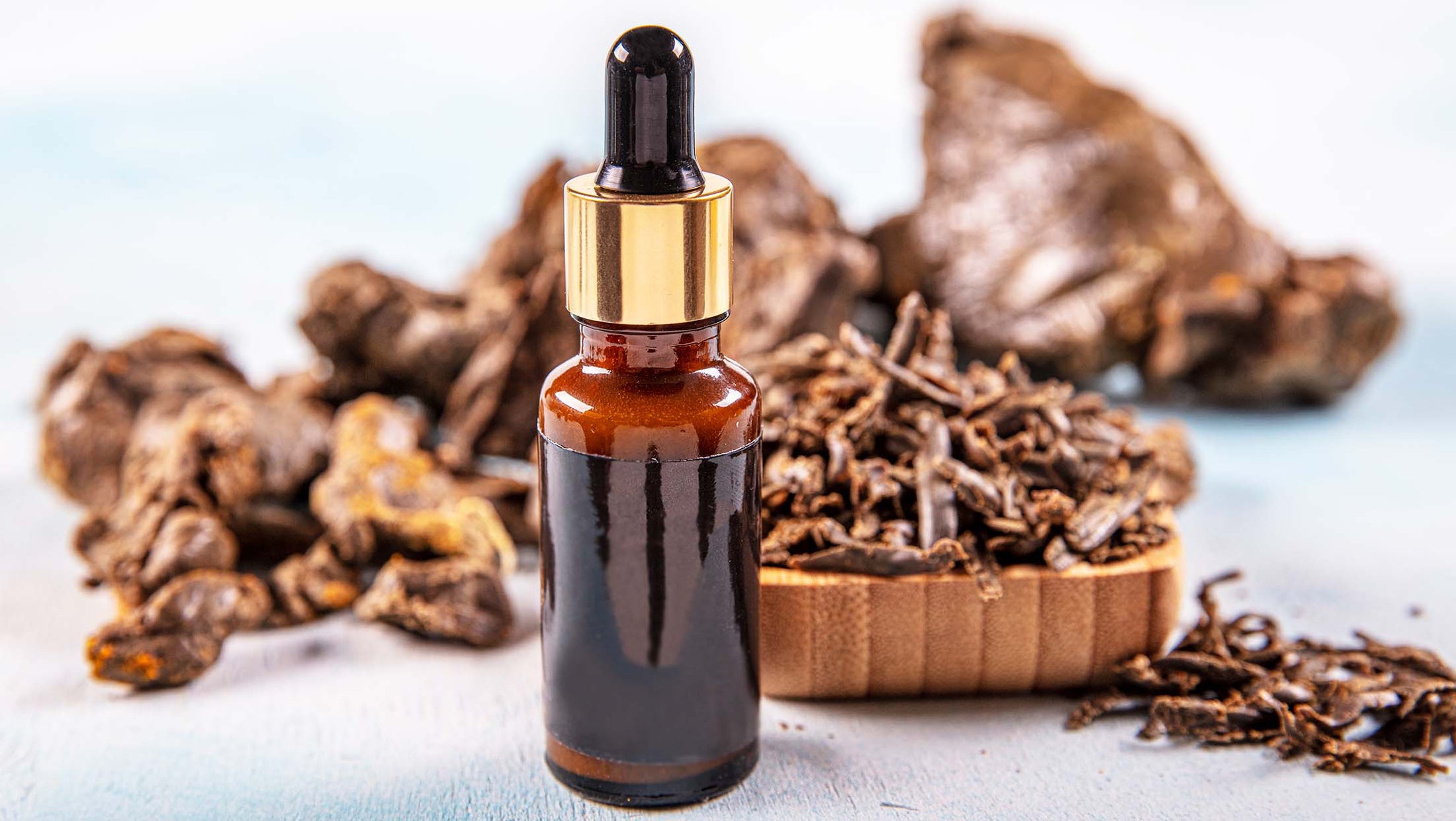 Propolis and Scientific Research on Viruses