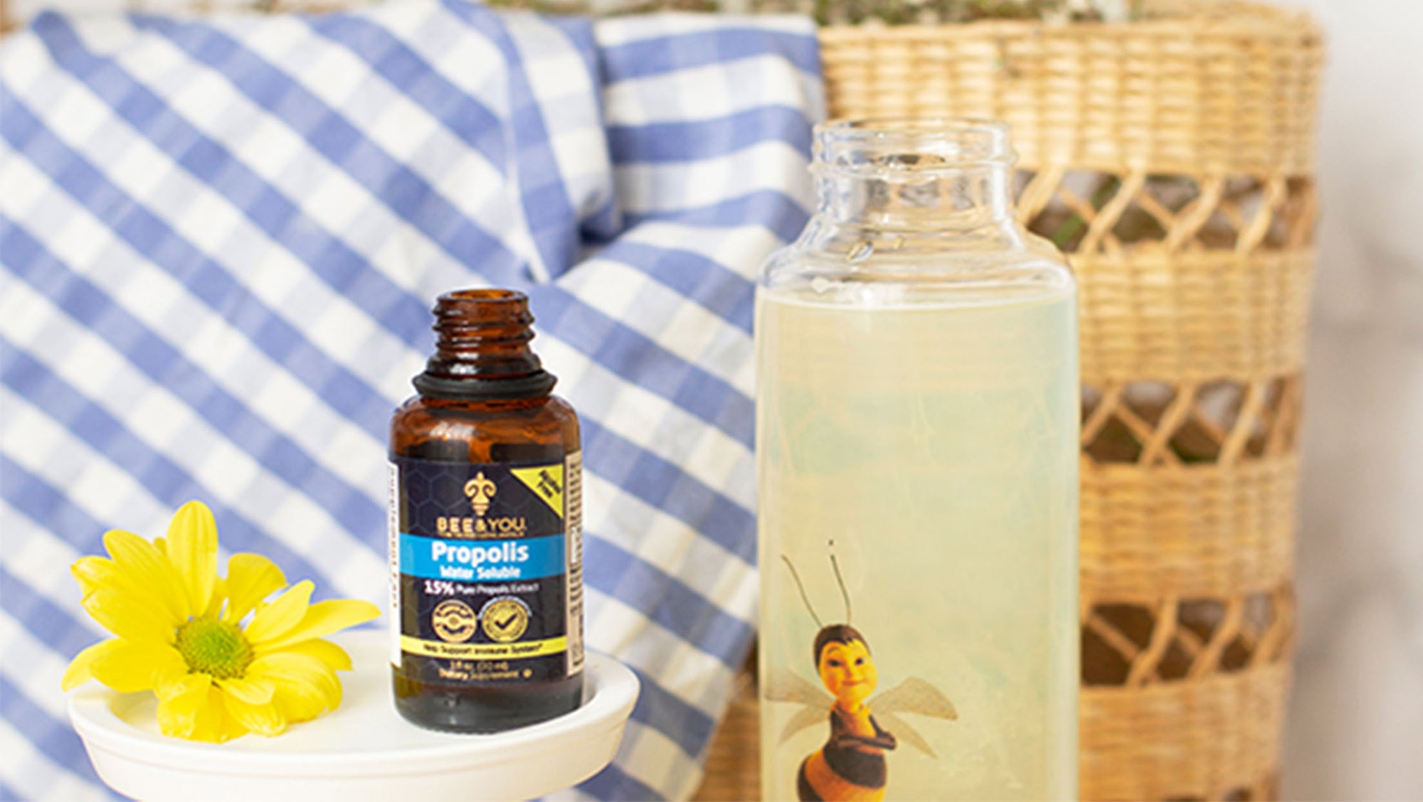 Propolis and Scientific Research on Prostate Cancer