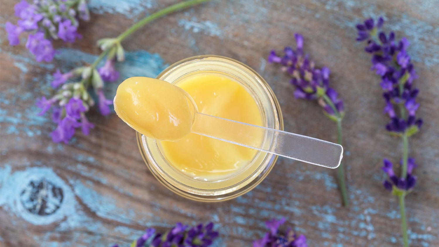 Royal Jelly and Mental Health BEE&YOU