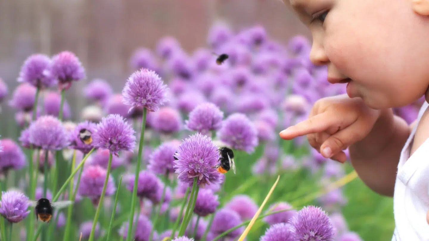 Here’s How Bee Ingredients Can Support Your Kids’ Immune Health This Fall