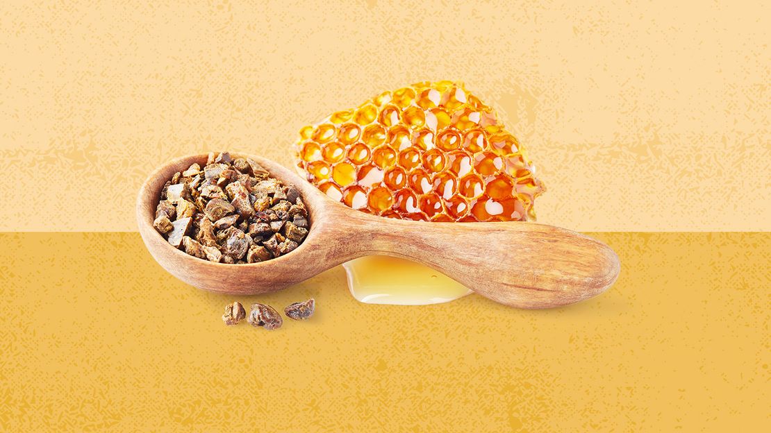 Gut Check: Is Bee Propolis Good for Your Gut Microbiome ?