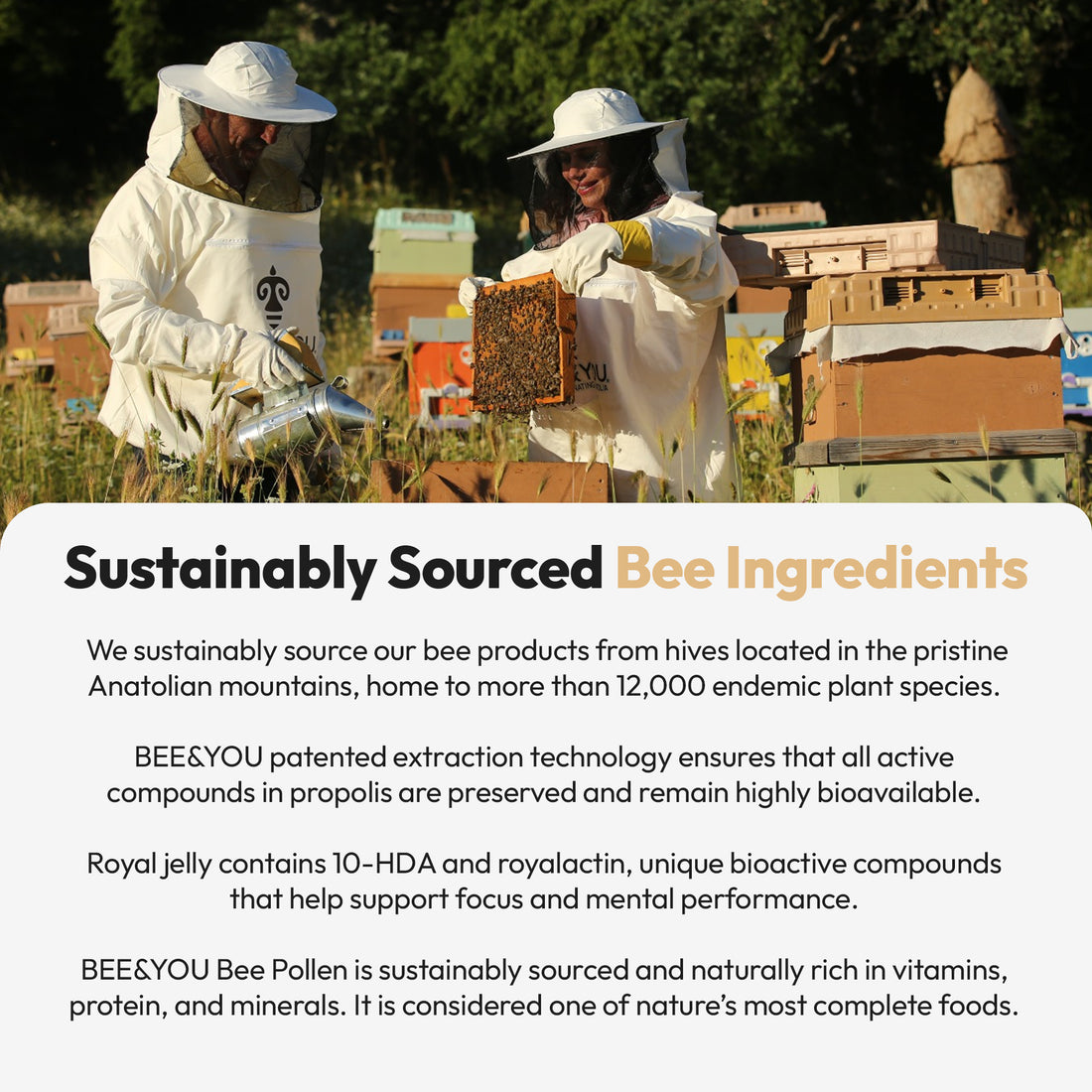 Royal Jelly+Propolis+Bee Pollen Tablets Ultra Potency