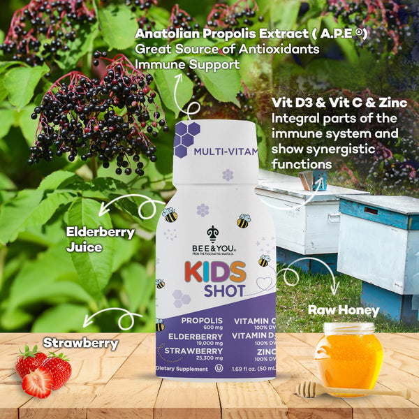 Elderberry Immune Support Shot Drink for Kids x 12