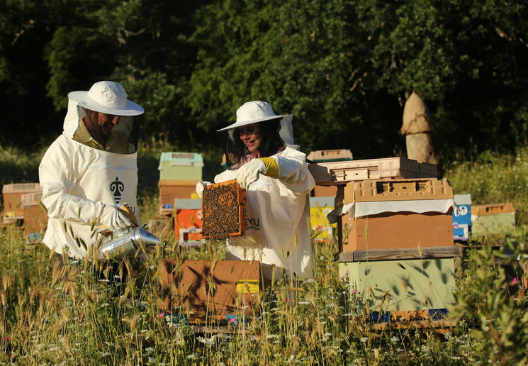 BEE&YOU beekeepers and beehives representing the company’s contracted beekeeping model and traceability from the hive to the table.
